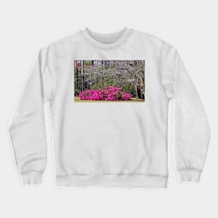 Beauty In The Woods Crewneck Sweatshirt